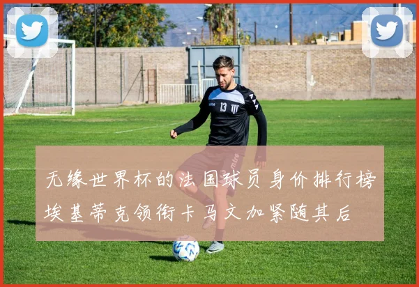 无缘世界杯的法国球员身价排行榜埃基蒂克领衔卡马文加紧随其后