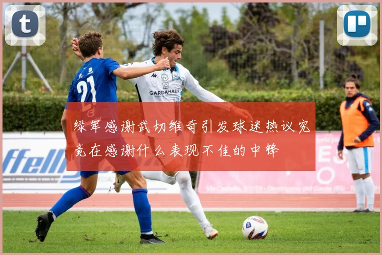 绿军感谢武切维奇引发球迷热议究竟在感谢什么表现不佳的中锋