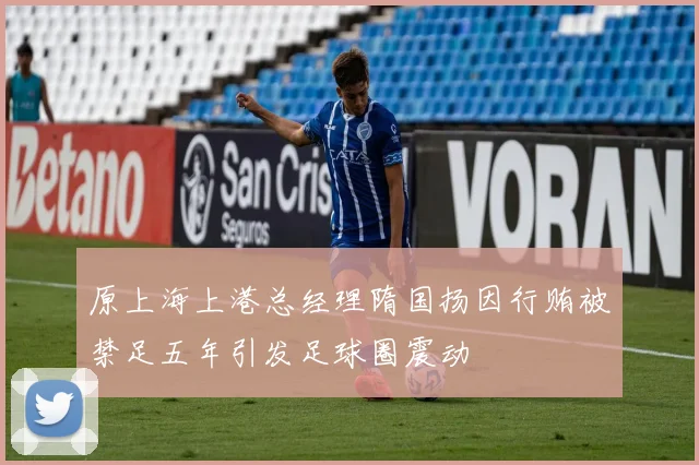 原上海上港总经理隋国扬因行贿被禁足五年引发足球圈震动